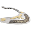 WW2 German Third Reich Feldgendarmerie Gorget (Original)  - Photo 3