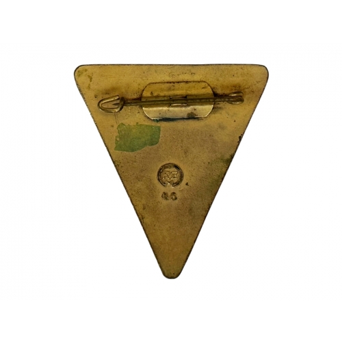 Original German Nsdap (Nazi) “Nat. Soz. Frauenschaft” Membership Badge