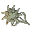German Mountain Trooper Edelweiss Insignia, For M43 Gebirgsjager Cap 