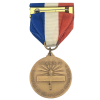 Authentic Good Citizenship Award DAR Daughter of American Revolution Medal Pin with Ribbon Named 