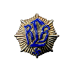 Original German Third-Reich RLB Luftschutz Membership 1st Pattern Visor Pin for Sale